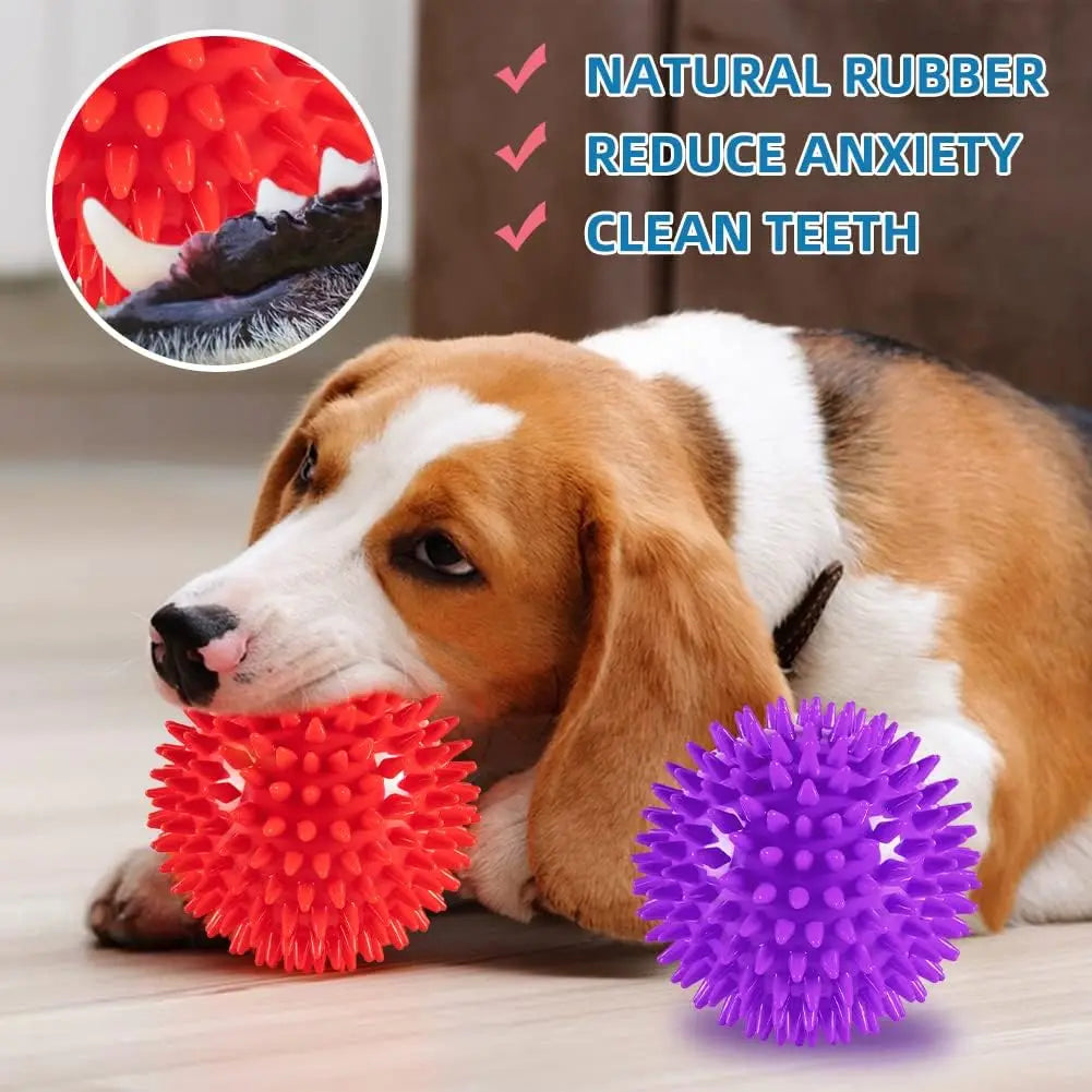 Squeaky Interactive Dog & Cat Toy — Hours of Fun Guaranteed