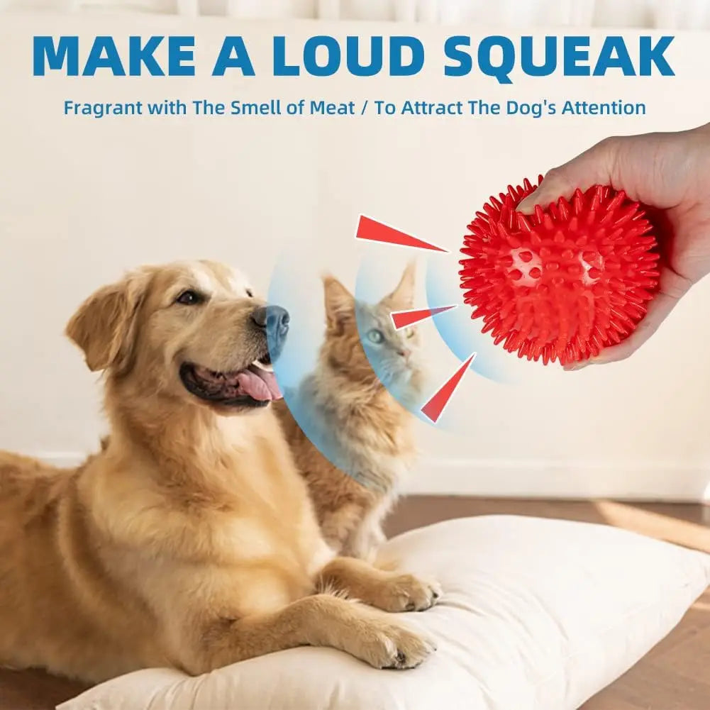 Squeaky Interactive Dog & Cat Toy — Hours of Fun Guaranteed