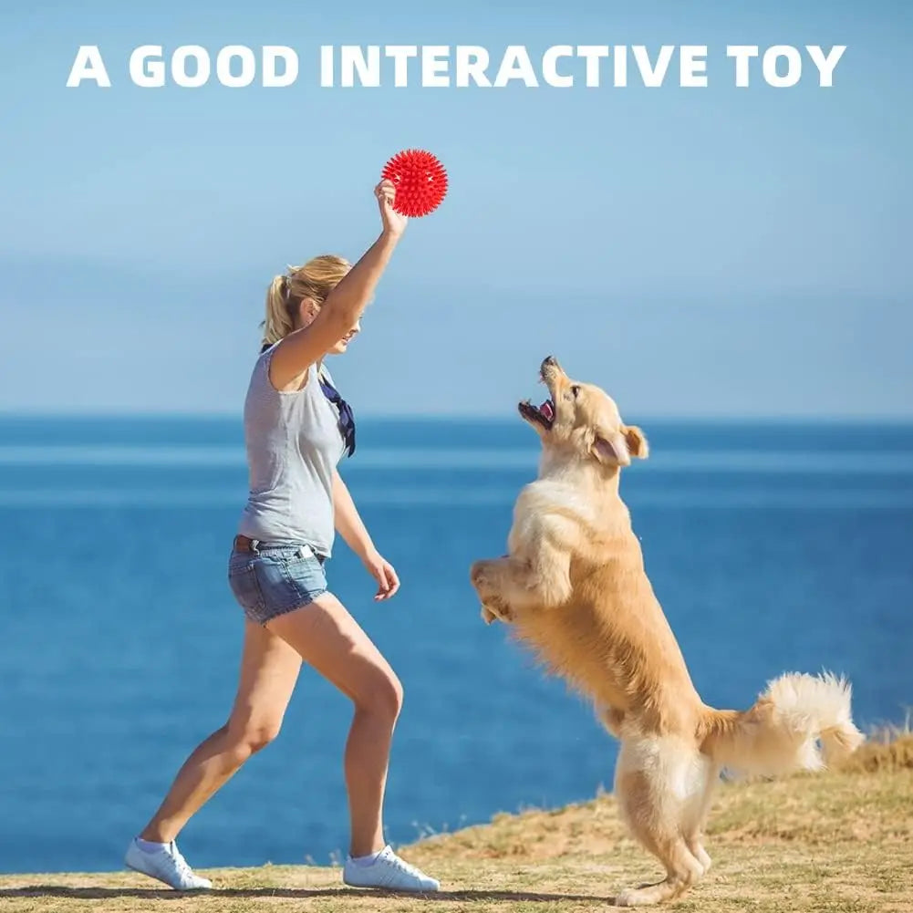Squeaky Interactive Dog & Cat Toy — Hours of Fun Guaranteed