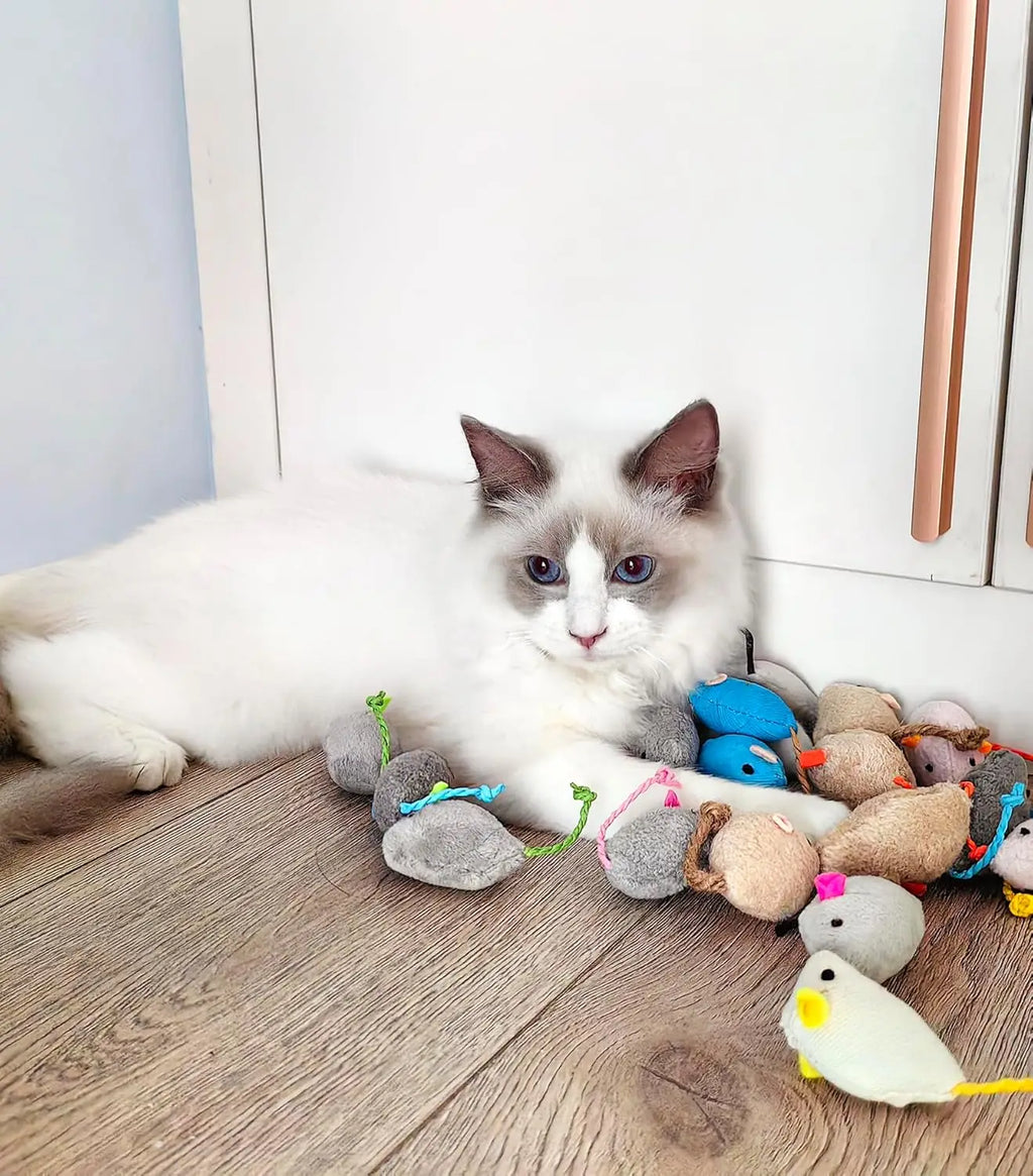 Rattle Mouse Cat Toys 200 Pack — Irresistible Hunting Toys for Cats