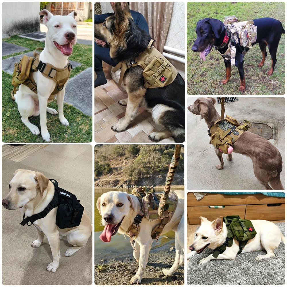 Tactical Military Dog Harness & Leash Set for Large Dogs — Training, Walking & Hunting